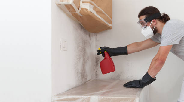 Professional Mold Inspection technician working in Garden City, NY