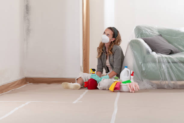 Reliable Mold Inspection contractor in Garden City, NY by WQB Mold Removal